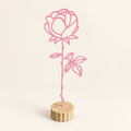 Maandbloem juni – Roos