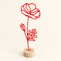 Maandbloem augustus – Klaproos