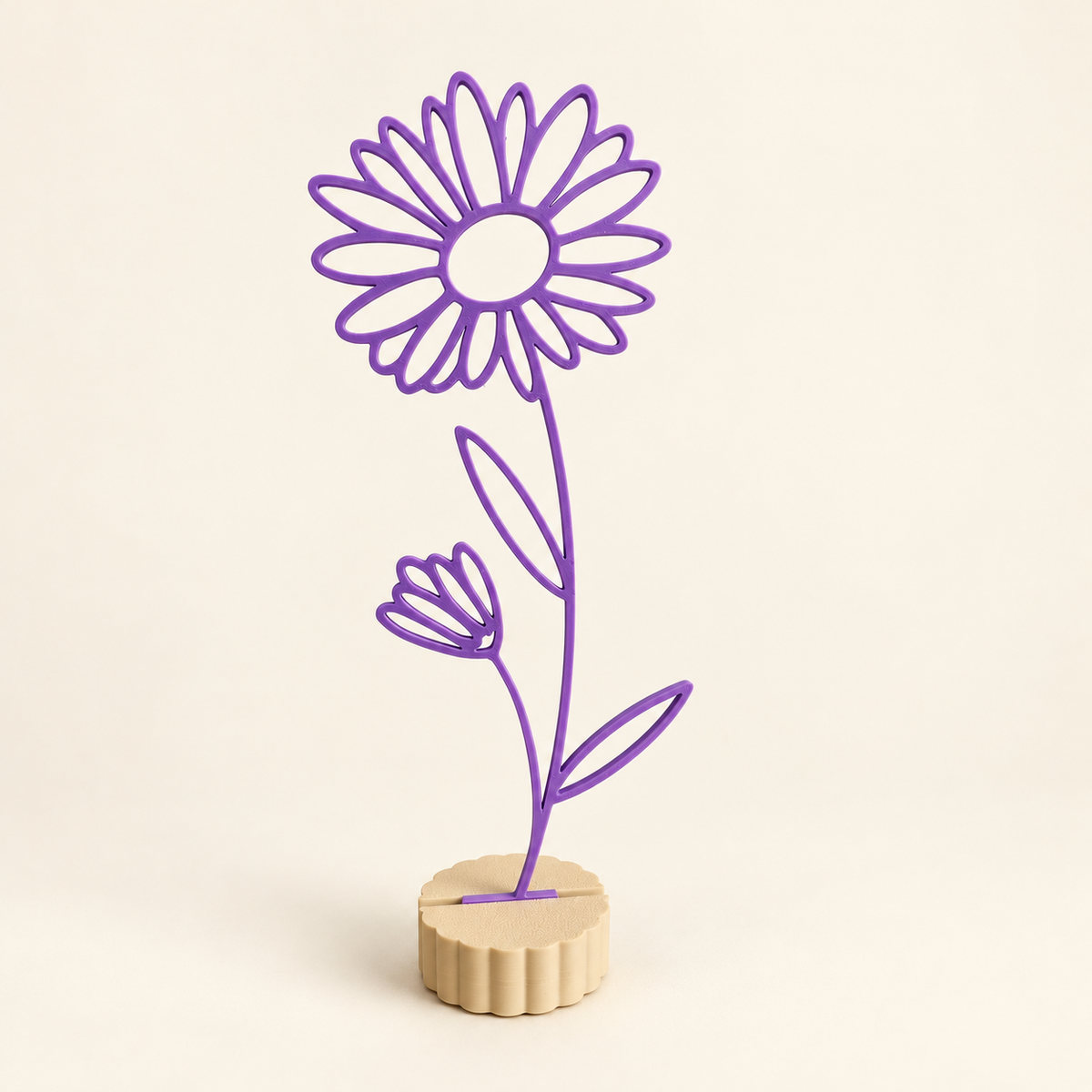 Maandbloem september – Aster