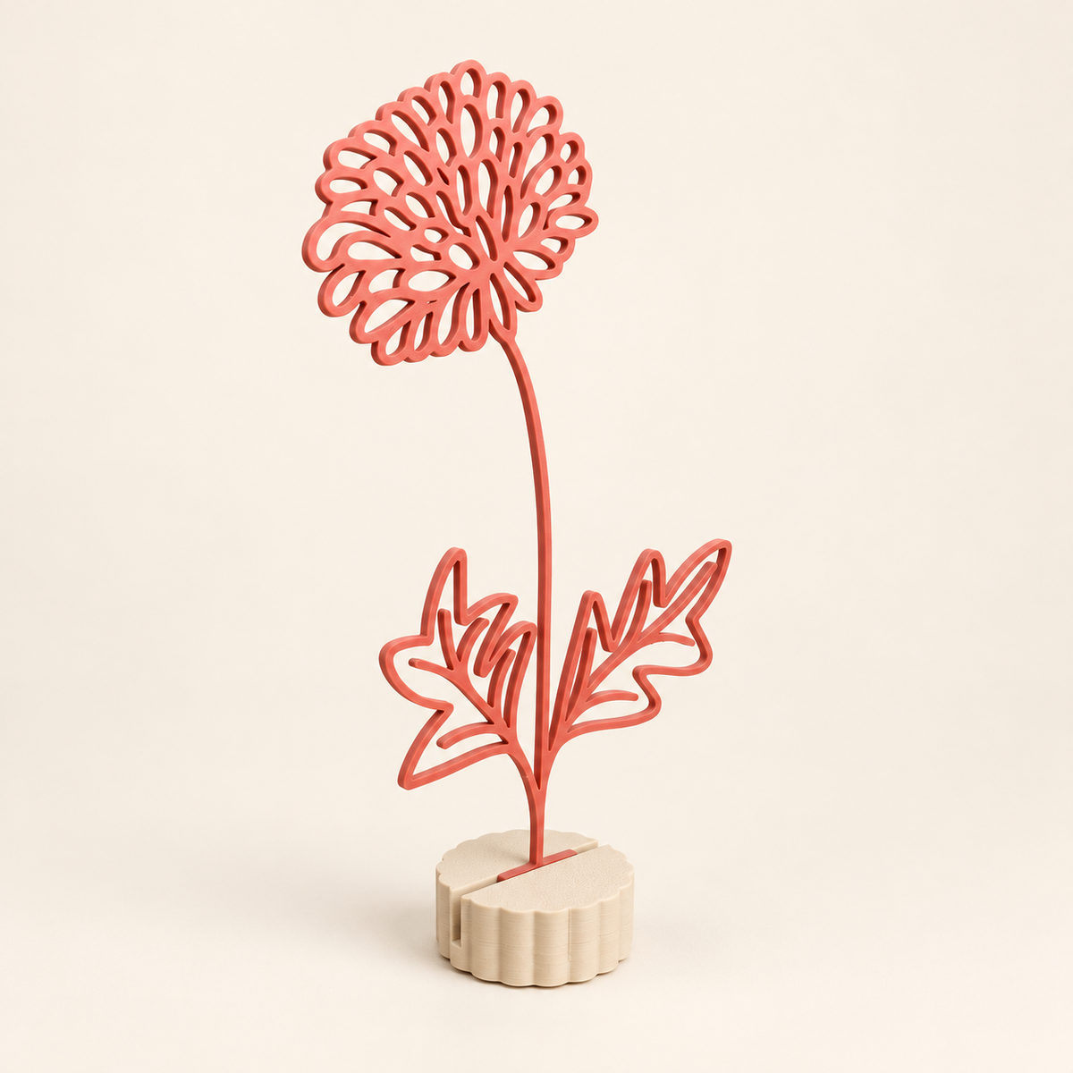 Maandbloem november – Chrysant