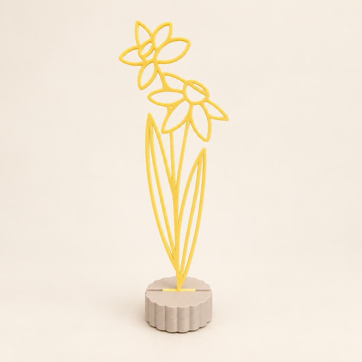 Maandbloem december – Narcis